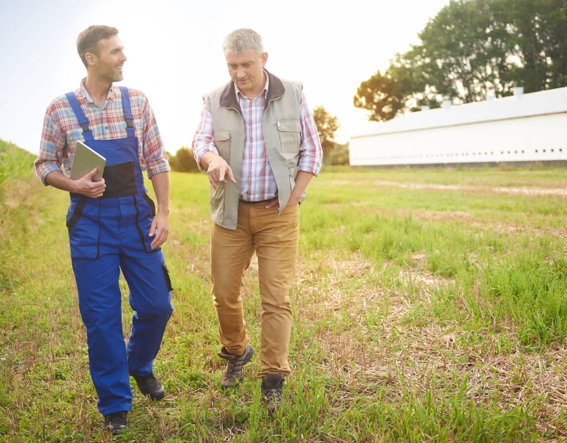 From Soil Data to Sales: BeCrop Farm Empowers Retailer Agro Decisions